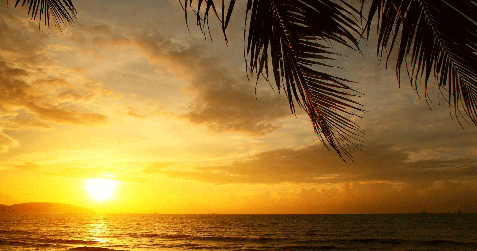 Welcome to www.moganelsirocco.com